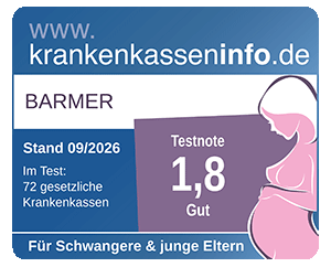 Testergebnis Krankenkassentest für Schwangere und junge Eltern